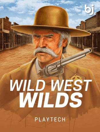 Wild West Wilds game screenshot